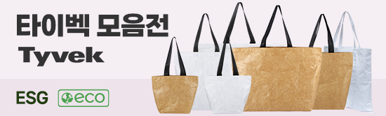 ����Ʈ����