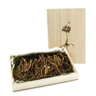 ���� ����� 8~10��� �����̾� ������Ʈ