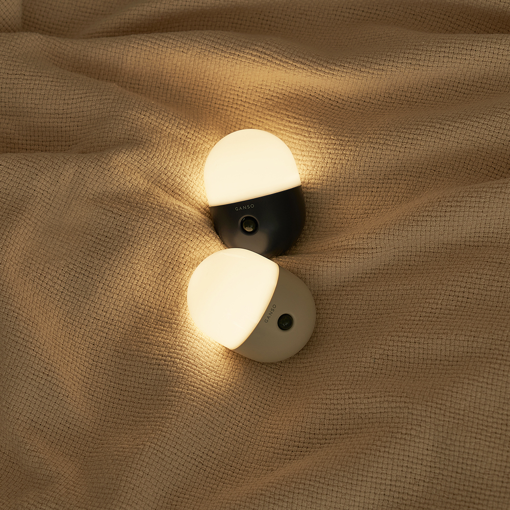 ���ܼ� ��� ���� ������ ���� ���� GANSO