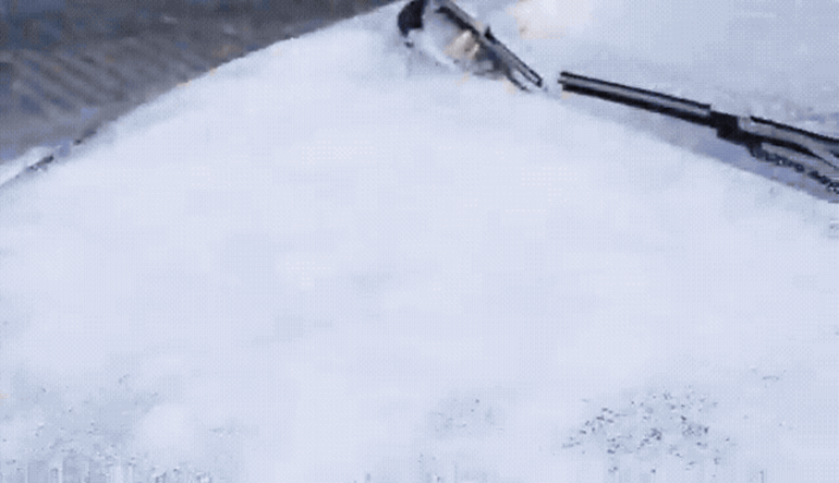 F120260227184528.gif