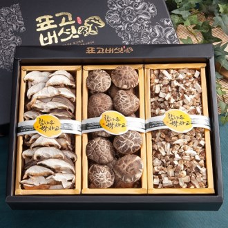 ���� ǥ�� 3�� ��Ʈ (���� 90g + �����̽� 80g + ǥ��Ĩ 80g)
